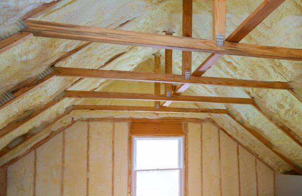 Best Cellulose Insulation in Mbrian Park, CA